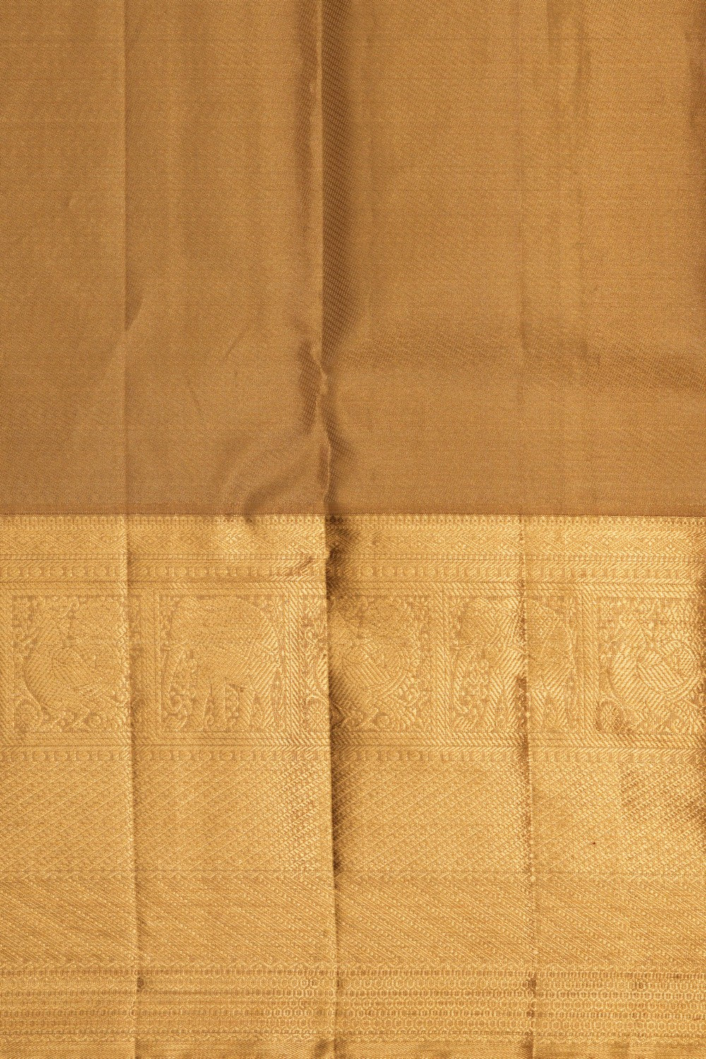 Image of Kanchipattu Tissue Brocade Saree